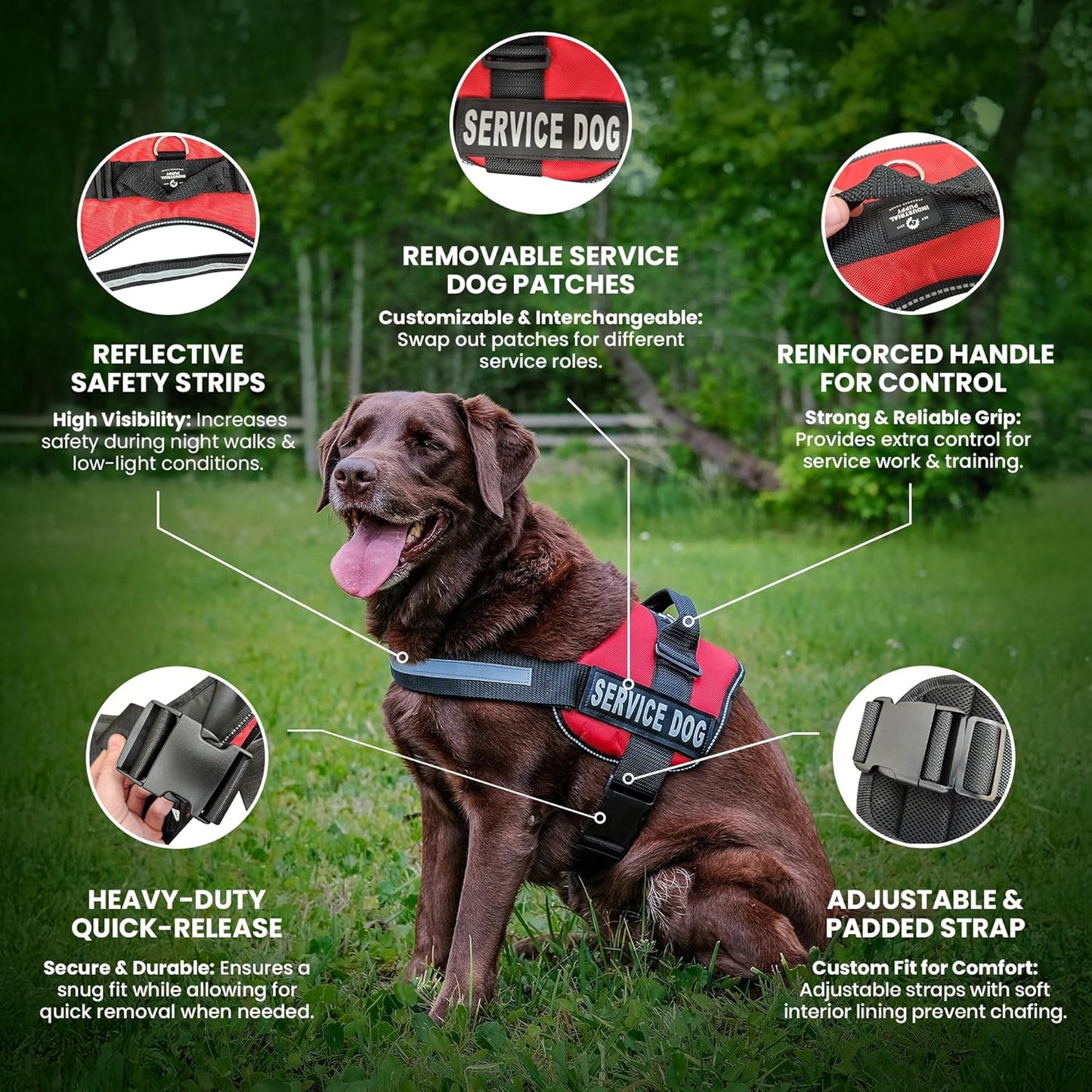 Service Dog Vest with Hook and Loop Straps and Handle - Harness Is Available in 8 Sizes from XXXS to XXL - Service Dog Harness Features Reflective Patch and Comfortable Mesh Design (Black, Small)