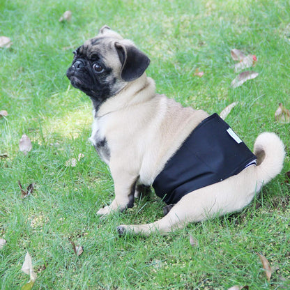 Washable Male Dog Belly Wrap - Pack of 3 - (Gold,Black,Grey,X-Small)