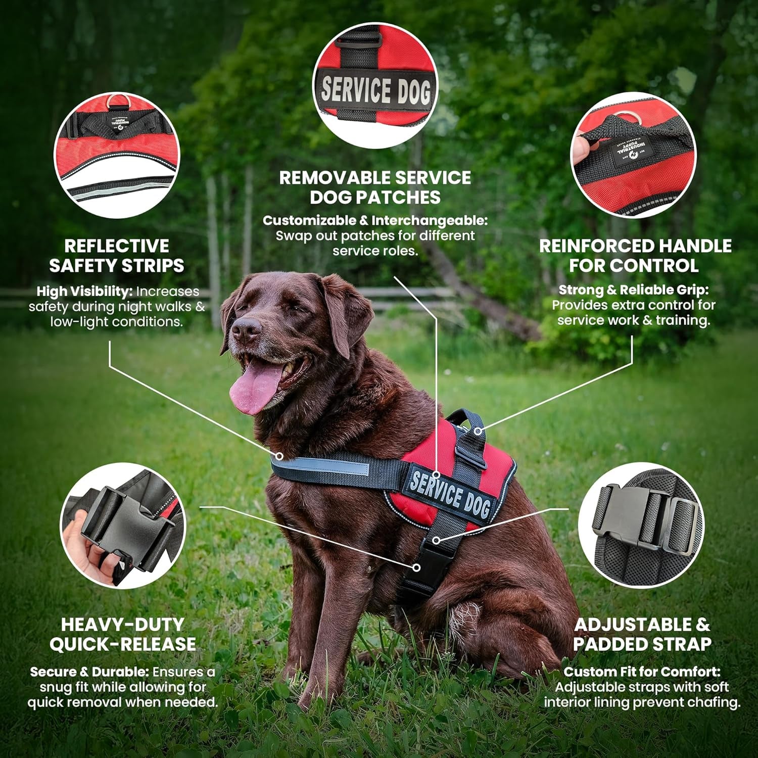 Service Dog Vest with Hook and Loop Straps and Handle - Harness Is Available in 8 Sizes from XXXS to XXL - Service Dog Harness Features Reflective Patch and Comfortable Mesh Design (Black, Small)