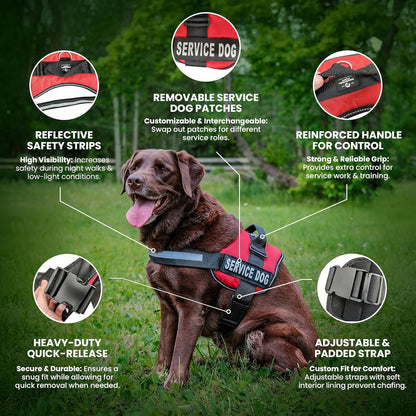 Service Dog Vest with Hook and Loop Straps and Handle - Harness Is Available in 8 Sizes from XXXS to XXL - Service Dog Harness Features Reflective Patch and Comfortable Mesh Design (Black, Small)